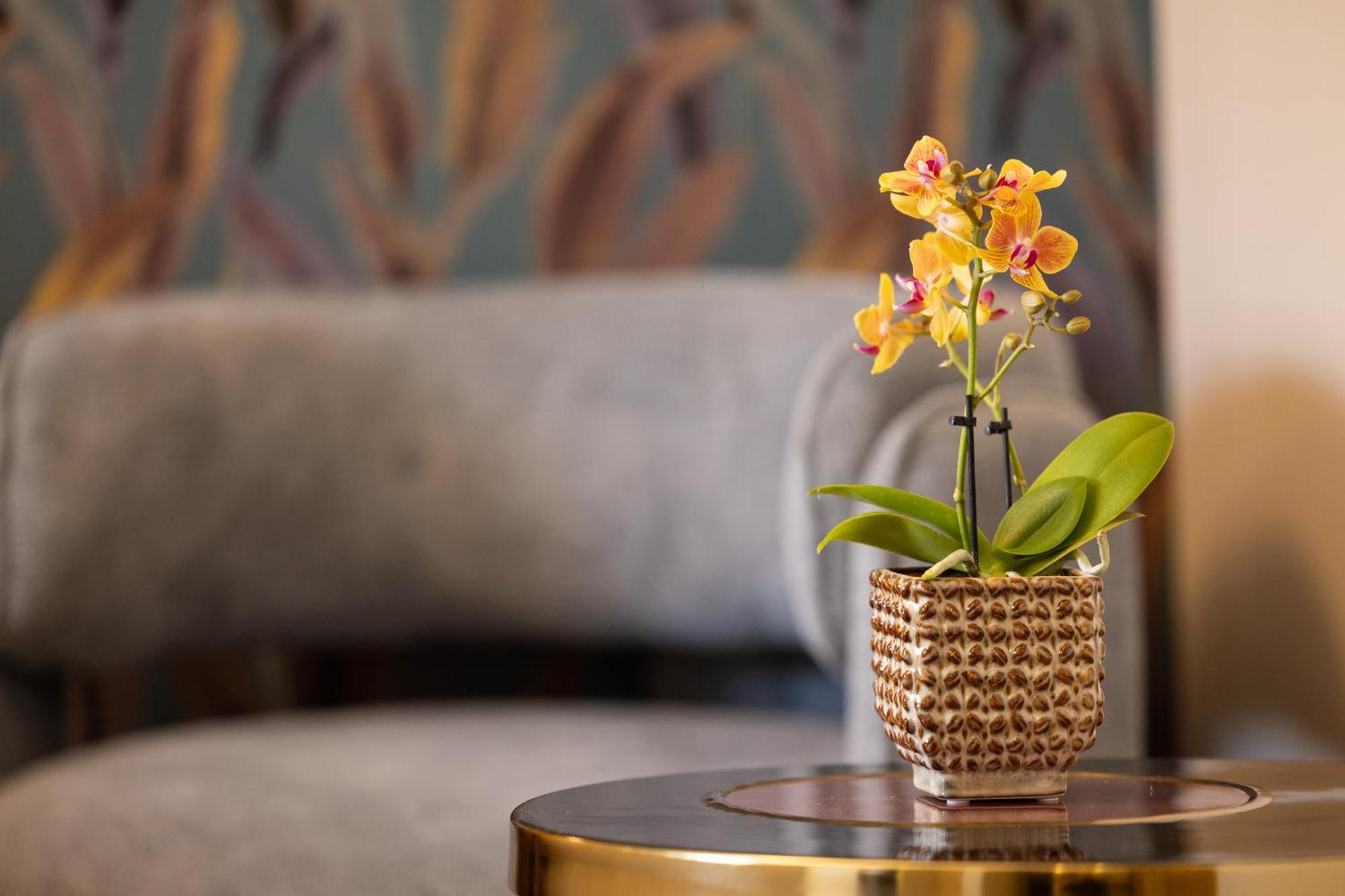 Mavi Luxury Suites Рим Екстериор снимка